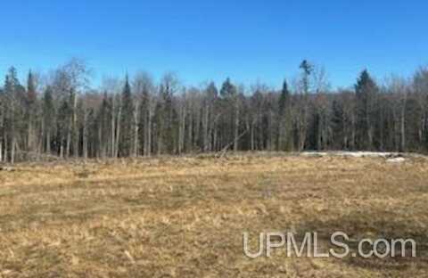 TBD Buntrock, Iron River, MI 49935
