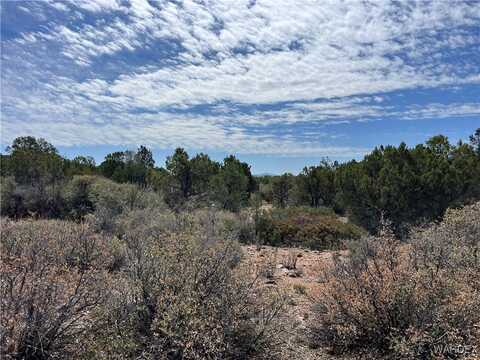 42 N Puma Drive, Kingman, AZ 86401