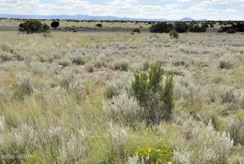 232 Acres River Springs Ranch, Saint Johns, AZ 85936