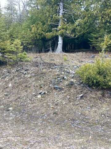 Tbd Old Ferry Dock RD, Drummond Island, MI 49726