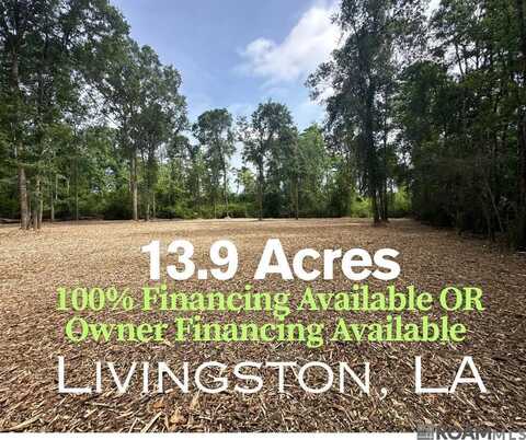 13.9 Acres Taylor Rd, Livingston, LA 70754