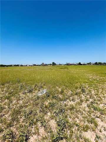 9127 Vista Ridge Drive, Edcouch, TX 78538