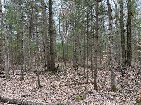 Cherry Lane, Free Soil, MI 49411