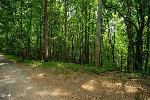 Lot 13a Sugar Maple Loop Road, Sevierville, TN 37862