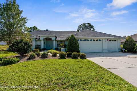 6234 Penna Street, Spring Hill, FL 34609