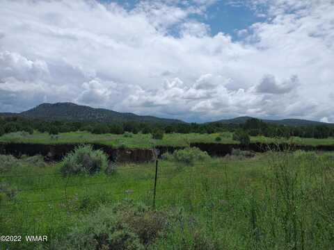 County Road 3033, Vernon, AZ 85940