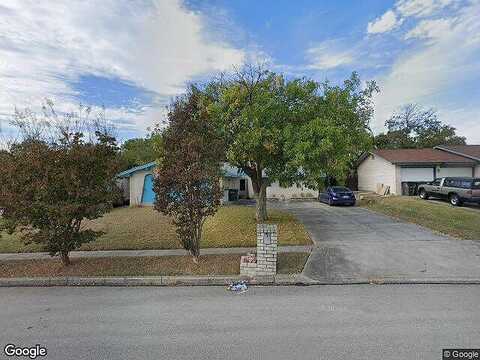 Brangus, SAN ANTONIO, TX 78247