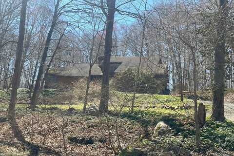 Hawks, BREWSTER, NY 10509
