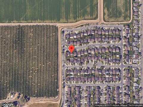 Dandelion, TULARE, CA 93274