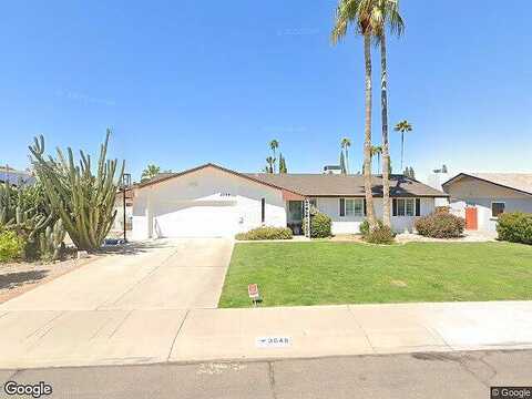 Lupine, PHOENIX, AZ 85028