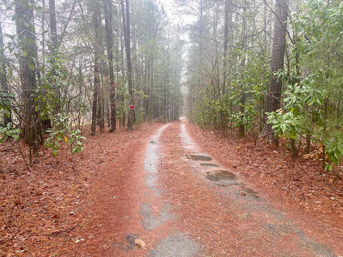 Neely, SHARPSBURG, GA 30277