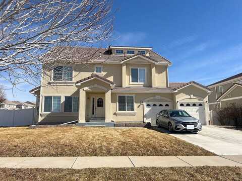Netherland, DENVER, CO 80249