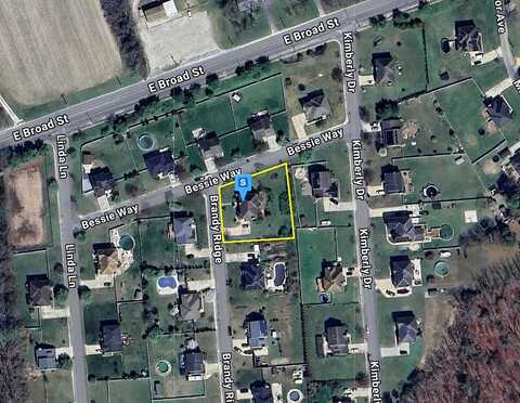 Brandy, MILLVILLE, NJ 08332