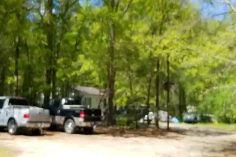 Rusty, WALTERBORO, SC 29488