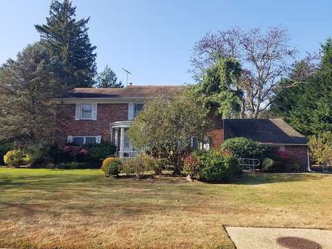Tara, ROSLYN, NY 11576