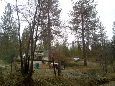 Dogtown, COULTERVILLE, CA 95311