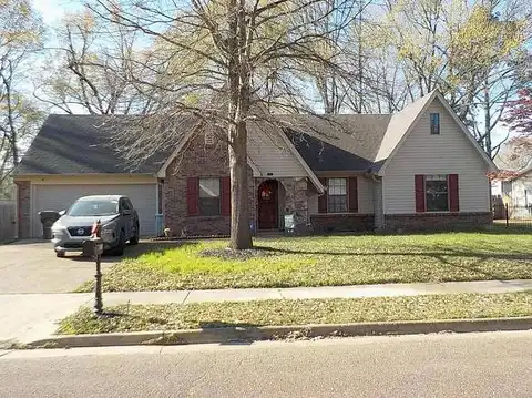 Scepter, BARTLETT, TN 38135