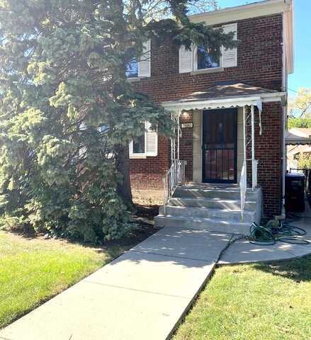 Hamilton, CHICAGO, IL 60620