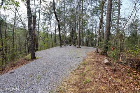 1011 Carrs Creek Rd, Townsend, TN 37882
