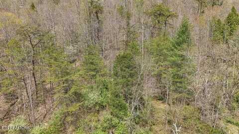 Roses Creek Rd, Clairfield, TN 37715