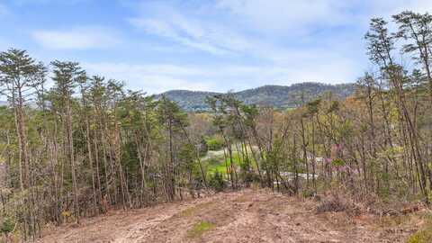 09 Reed Bull Rd, New Market, TN 37820