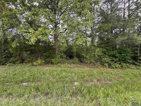 Tbd Hwy 43, Jefferson, TX 75657