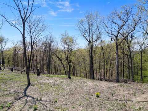 0 Iron Mountain Bluff-Wicks, Arnold, MO 63010