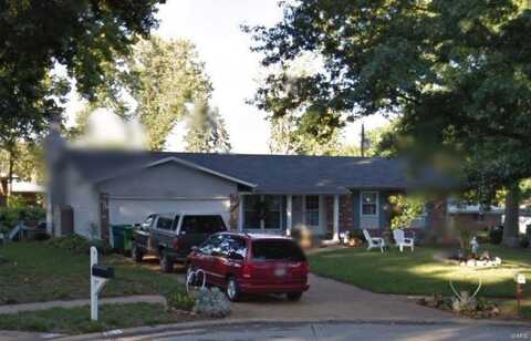 917 Elba Lane, Saint Louis, MO 63137