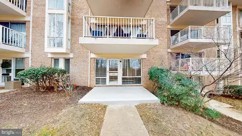 Redcoat, ALEXANDRIA, VA 22303