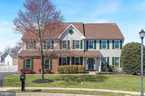 Amber, NORRISTOWN, PA 19401