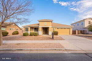 Swan, QUEEN CREEK, AZ 85142