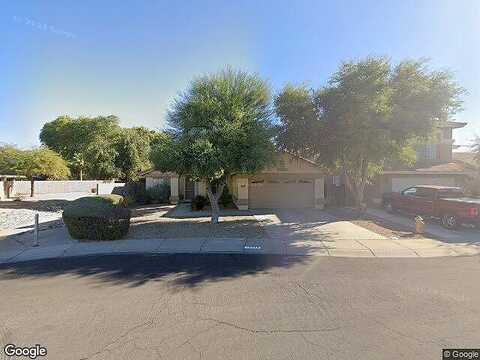 Larkspur, SURPRISE, AZ 85374