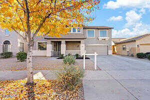 Canary, QUEEN CREEK, AZ 85142