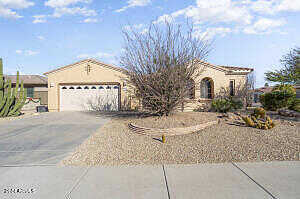 Alder, SURPRISE, AZ 85387
