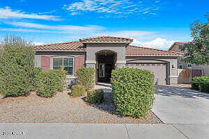 Pecan, QUEEN CREEK, AZ 85142