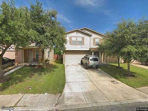 Burro, SAN ANTONIO, TX 78244