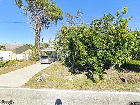 Alligator, VENICE, FL 34293
