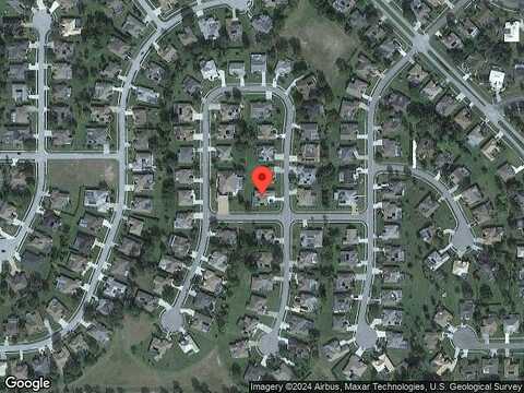 Conifer, SPRING HILL, FL 34609