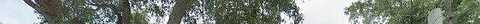 Geigel, ORLANDO, FL 32806