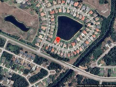 Coconut Palm, NORTH PORT, FL 34288