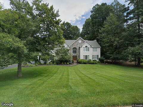 Carolina, DOWNINGTOWN, PA 19335