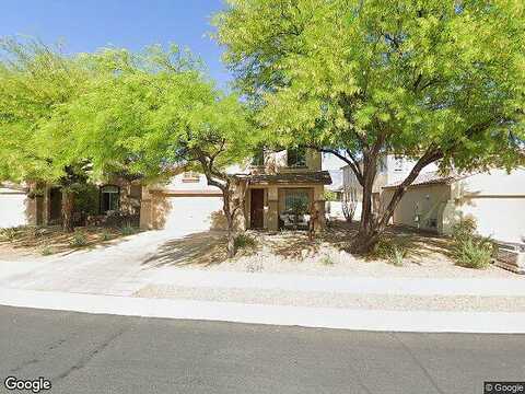 Salt Cedar, TUCSON, AZ 85755