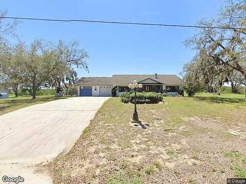 Tortoise, SEBRING, FL 33876