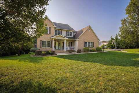 Prince John, WAYNESBORO, VA 22980