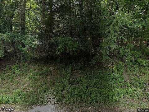 Buckthorn, ROCHESTER, MN 55901
