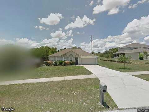 Water Fern, CLERMONT, FL 34711