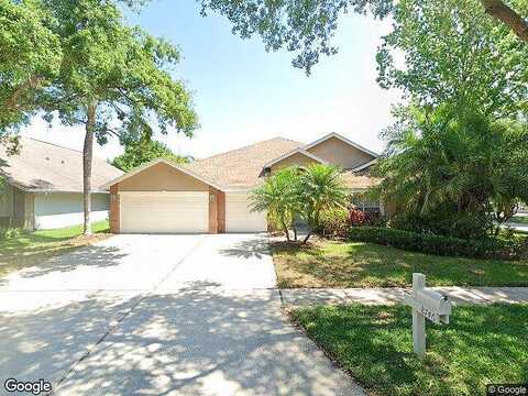 Tantallon, TAMPA, FL 33647