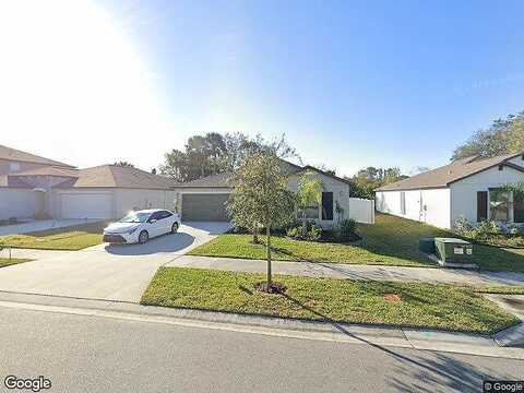 Wild Senna, TAMPA, FL 33619