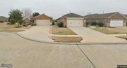 Larkspur, RICHMOND, TX 77469