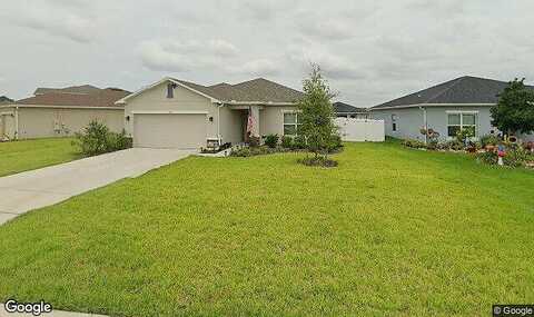 Fescue, CLERMONT, FL 34714
